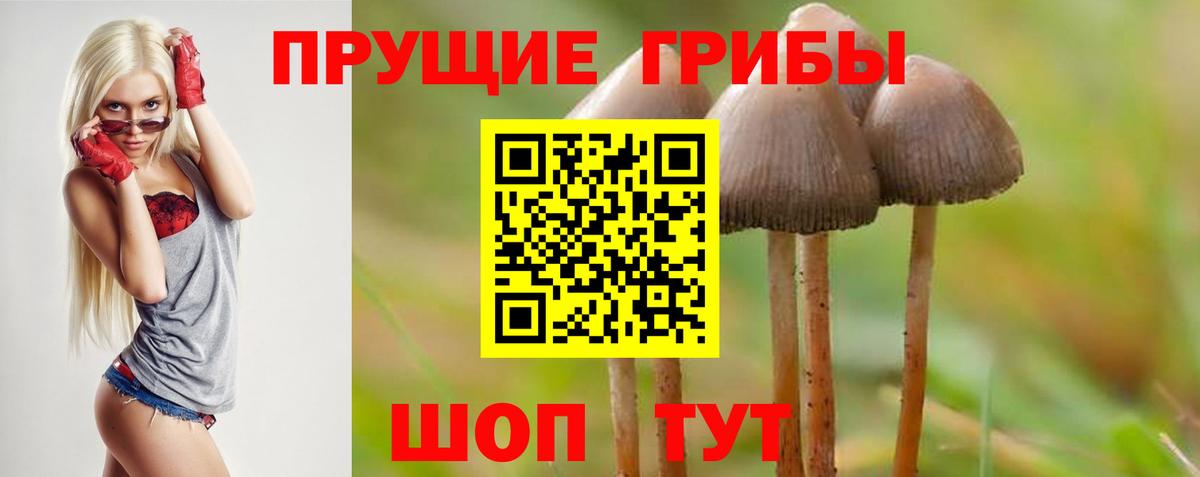 Псилоцибиновые грибы мицелий Королёв